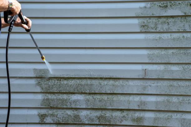 Best Insulated Siding Installation  in Newport, OH